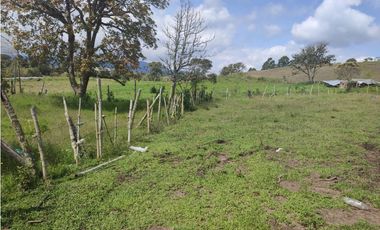 FINCA EN EL CARMEN 28.500 METROS USOS MULTIPLES 3.420 MILLONES