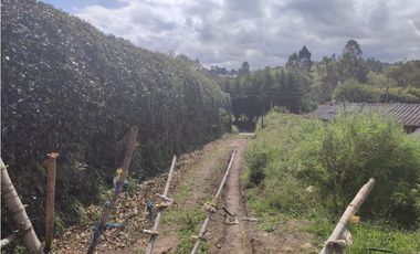 FINCA EN EL CARMEN 28.500 METROS USOS MULTIPLES 3.420 MILLONES