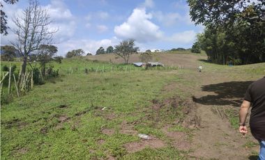 FINCA EN EL CARMEN 28.500 METROS USOS MULTIPLES 3.420 MILLONES