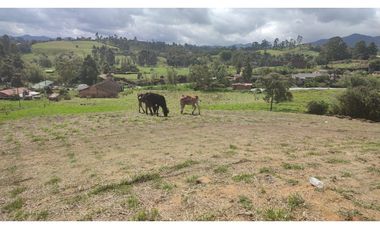 FINCA EN EL CARMEN 28.500 METROS USOS MULTIPLES 3.420 MILLONES