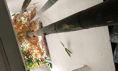 CASA-TERRENO EN CENTRO DE JIUTEPEC