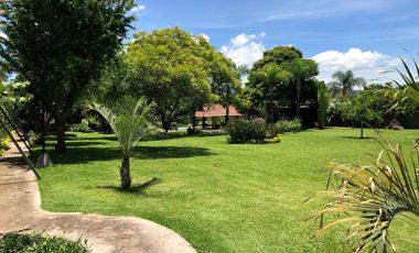 CASA-TERRENO EN CENTRO DE JIUTEPEC