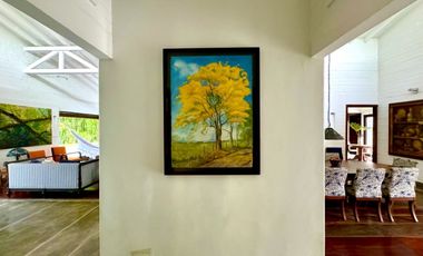 Rodeada de exuberante naturaleza y fauna