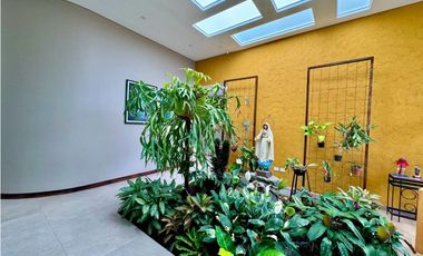 Diseño naturaleza y paz