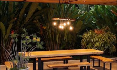 Diseño naturaleza y paz