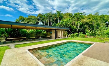 Diseño naturaleza y paz