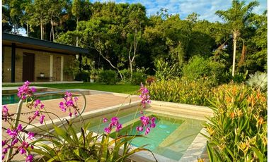 Diseño naturaleza y paz