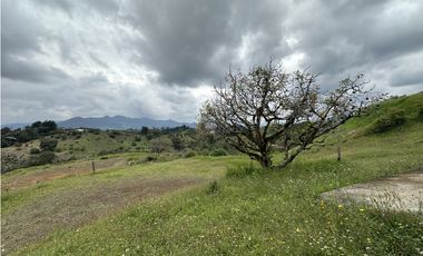 Venta De Lote En El Carmen De Viboral Quirama