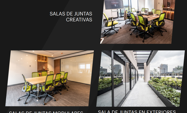 OFICINAS ACONDICIONADAS EN INSURGENTES Y REFORMA
