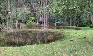 NEMOCON VENTA FINCA 25.000MTS $950.000.000