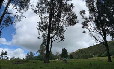NEMOCON VENTA FINCA 25.000MTS $950.000.000