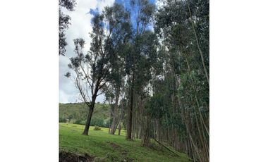 NEMOCON VENTA FINCA 25.000MTS $950.000.000