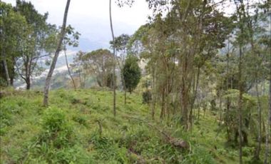 VENDO HERMOSO LOTE EN PARCELACION EN LA ESTRELLA REA 6.074M2