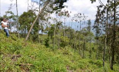 VENDO HERMOSO LOTE EN PARCELACION EN LA ESTRELLA REA 6.074M2