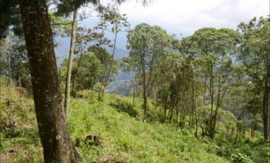 VENDO HERMOSO LOTE EN PARCELACION EN LA ESTRELLA REA 6.074M2