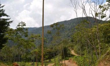 VENDO HERMOSO LOTE EN PARCELACION EN LA ESTRELLA REA 6.074M2