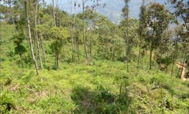VENDO HERMOSO LOTE EN PARCELACION EN LA ESTRELLA REA 6.074M2