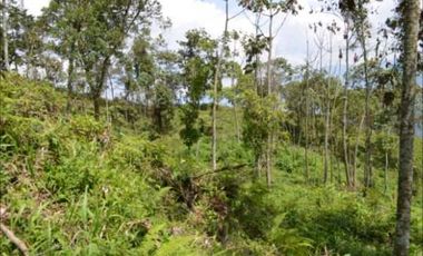 VENDO HERMOSO LOTE EN PARCELACION EN LA ESTRELLA REA 6.074M2