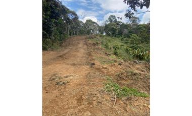 Lotes con linda vista y bosque nativo ingreso via principal-Yolombo