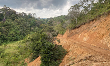 Lotes con linda vista y bosque nativo ingreso via principal-Yolombo