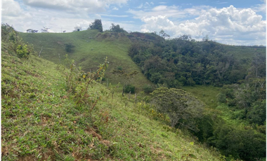 Lotes con linda vista y bosque nativo ingreso via principal-Yolombo