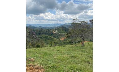Lotes con linda vista y bosque nativo ingreso via principal-Yolombo