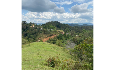 Lotes con linda vista y bosque nativo ingreso via principal-Yolombo