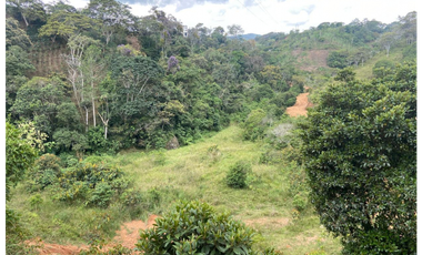 Lotes con linda vista y bosque nativo ingreso via principal-Yolombo