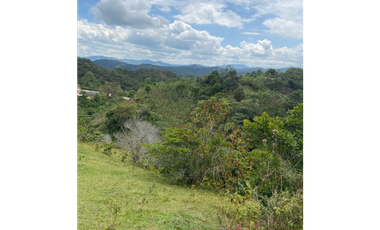 Lotes con linda vista y bosque nativo ingreso via principal-Yolombo