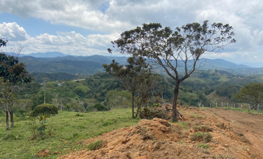 Lotes con linda vista y bosque nativo ingreso via principal-Yolombo