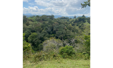 Lotes con linda vista y bosque nativo ingreso via principal-Yolombo