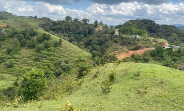 Lotes con linda vista y bosque nativo ingreso via principal-Yolombo