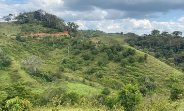 Lotes con linda vista y bosque nativo ingreso via principal-Yolombo
