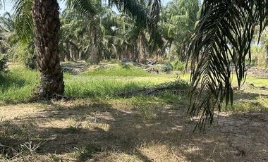Land for sale in Cha-Am, Phetchaburi
