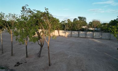 Terreno en venta Mérida Yucatán, Privada Alma Cholul