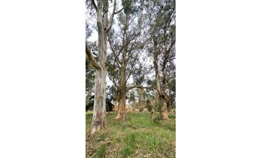 Lote en venta Reserva Golf Los Acantilados