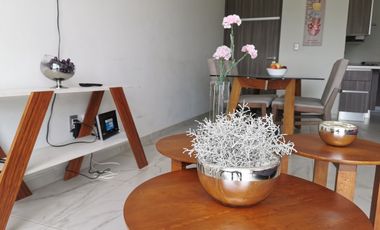 Renta Departamento Amueblado, Lomas de Angelopolis, Park view, Distrito Sonata
