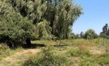 Parcela en venta en CHIMBARONGO