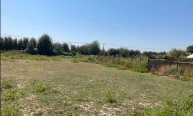 Parcela en venta en CHIMBARONGO