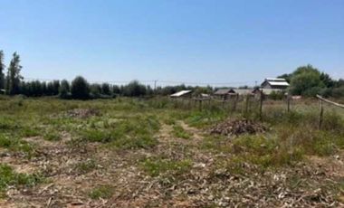 Parcela en venta en CHIMBARONGO