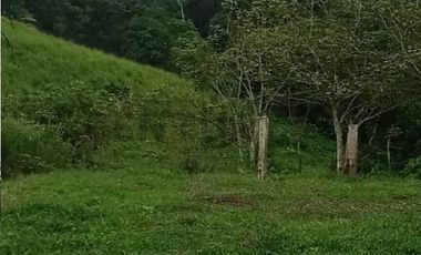 En venta Finca de Oportunidad de 72 HAS en Viche, Rio Verde, Esmeraldas