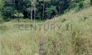 En venta Finca de Oportunidad de 72 HAS en Viche, Rio Verde, Esmeraldas