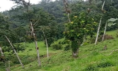 En venta Finca de Oportunidad de 72 HAS en Viche, Rio Verde, Esmeraldas