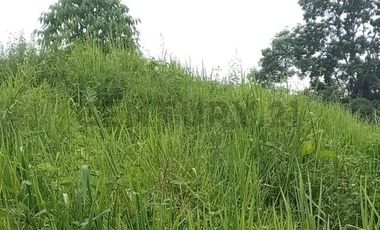 En venta Finca de Oportunidad de 72 HAS en Viche, Rio Verde, Esmeraldas