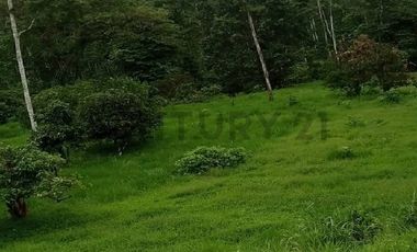 En venta Finca de Oportunidad de 72 HAS en Viche, Rio Verde, Esmeraldas