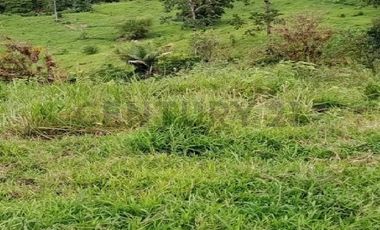 En venta Finca de Oportunidad de 72 HAS en Viche, Rio Verde, Esmeraldas