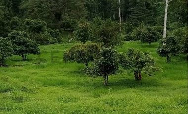 En venta Finca de Oportunidad de 72 HAS en Viche, Rio Verde, Esmeraldas