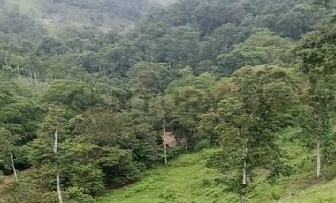 En venta Finca de Oportunidad de 72 HAS en Viche, Rio Verde, Esmeraldas