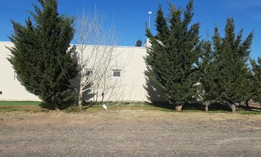 Casa - Mari Menuco
