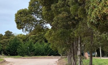 Terreno en venta - 750Mts2 - Harás del Mar, Santa Clara del Mar